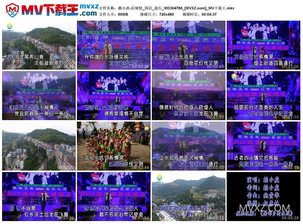 赖小虎-店垭情_国语_流行_MD304788